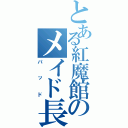 とある紅魔館のメイド長（パッド）