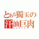 とある獨玉の汗油巨肉（ショウヘイ）