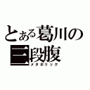 とある葛川の三段腹（メタボリック）