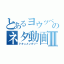 とあるヨウツベのネタ動画Ⅱ（ドキュメンタリー）