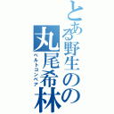 とある野生のの丸尾希林（ベルトコンベア）