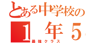 とある中学校の１　年５　組（最強クラス）