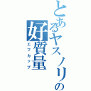 とあるヤスノリの好質量（エフカップ）