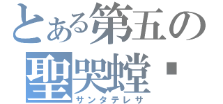 とある第五の聖哭螳蜋（サンタテレサ）