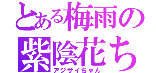 とある梅雨の紫陰花ちゃん（アジサイちゃん）