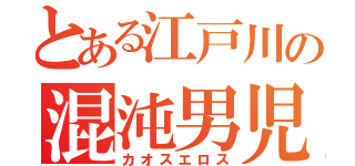 とある江戸川の混沌男児（カオスエロス）