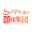 とある学生達の庭球集団（テニスチーム）