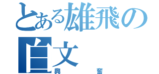 とある雄飛の白文（興奮）