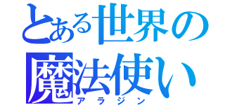 とある世界の魔法使い（アラジン）