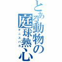 とある動物の庭球熱心（テニスバカ）