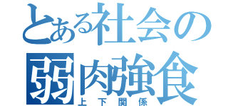 とある社会の弱肉強食（上下関係）