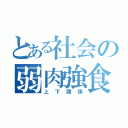 とある社会の弱肉強食（上下関係）