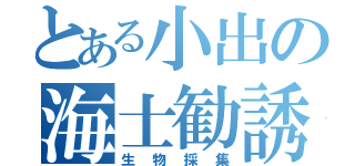 とある小出の海士勧誘（生物採集）