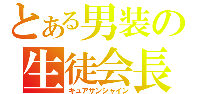 とある男装の生徒会長（キュアサンシャイン）