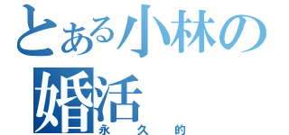 とある小林の婚活（永久的）