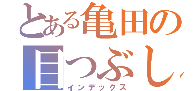 とある亀田の目つぶし（インデックス）