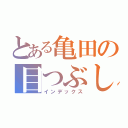 とある亀田の目つぶし（インデックス）