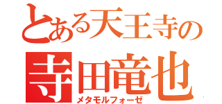 とある天王寺の寺田竜也（メタモルフォーゼ）