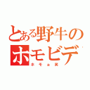 とある野牛のホモビデオ（ホモぉ笑）