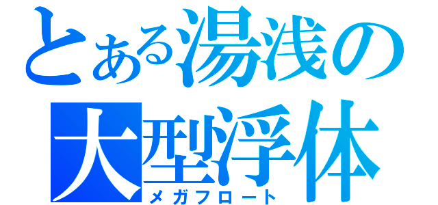 とある湯浅の大型浮体（メガフロート）