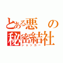 とある悪の秘密結社（ショッカー）