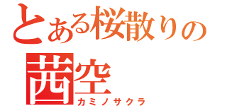 とある桜散りの茜空（カミノサクラ）