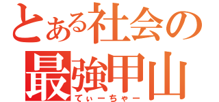 とある社会の最強甲山（てぃーちゃー）