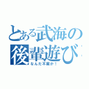 とある武海の後輩遊び（なんだ不服か！）