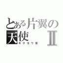 とある片翼の天使Ⅱ（キクヨウ君）