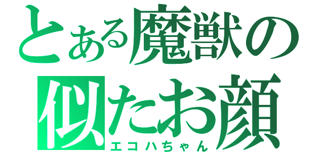 とある魔獣の似たお顔（エコハちゃん）