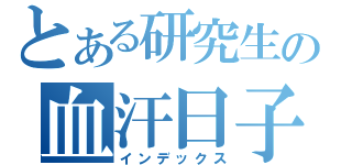 とある研究生の血汗日子（インデックス）