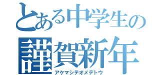 とある中学生の謹賀新年（アケマシテオメデトウ）