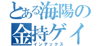 とある海陽の金持ゲイ（インデックス）