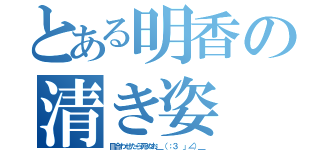 とある明香の清き姿（目合わせたら死ぬお＿（：３ 」∠）＿）