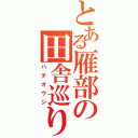 とある雁部の田舎巡り（ハチオウジ）