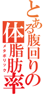 とある腹回りの体脂肪率（メタボリック）