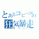 とあるコピペ厨の狂気暴走（荒らし）