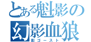 とある魁影の幻影血狼（影ゴースト）