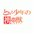 とある少年の携帯獣（ピカチュウ）