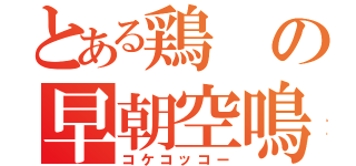 とある鶏の早朝空鳴（コケコッコー）