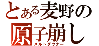 とある麦野の原子崩し（メルトダウナー）