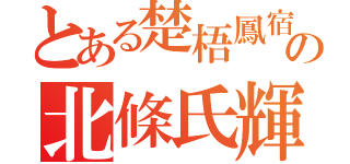 とある楚梧鳳宿の北條氏輝（）