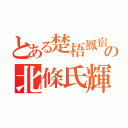 とある楚梧鳳宿の北條氏輝（）