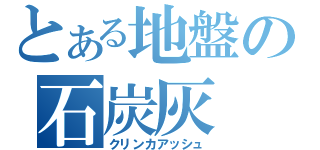 とある地盤の石炭灰（クリンカアッシュ）