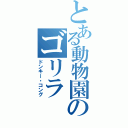 とある動物園のゴリラ（ドンキー・コング）