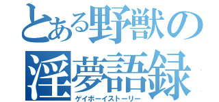 とある野獣の淫夢語録（ゲイボーイストーリー）