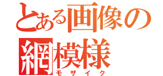 とある画像の網模様（モザイク）