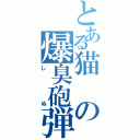 とある猫の爆臭砲弾（しぬ）