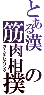 とある漢の筋肉相撲（ガチムチレスリング）