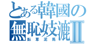 とある韓國の無恥妓漉Ⅱ（臥草泥馬）